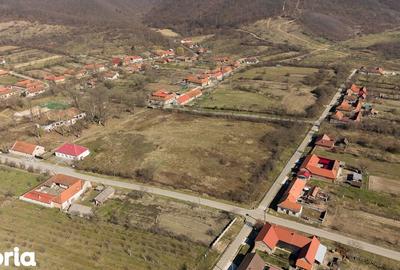 Casă cu 8 camere cu Teren 7235 Mp în Traian Vuia - 13