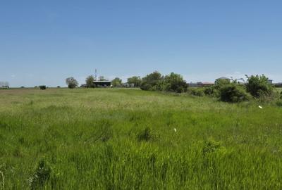 Teren agricol extravilan de 9983 mp, în Berceni - 7