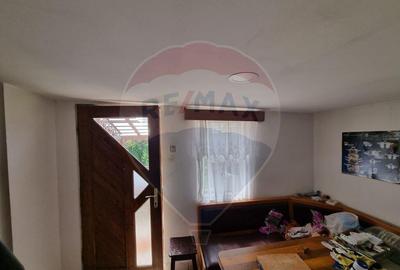 Casa de la marginea padurii! - 2