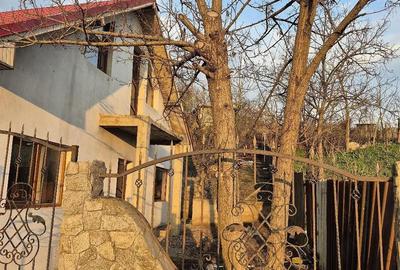 Casă cu 4 camere cu Teren 1019 Mp în Cuca - 5