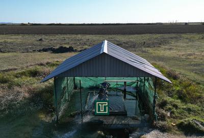 PUT GEOTERMAL NATURAL PE UN TEREN DE 36.476 MP IN SOCODOR, ARAD - 2