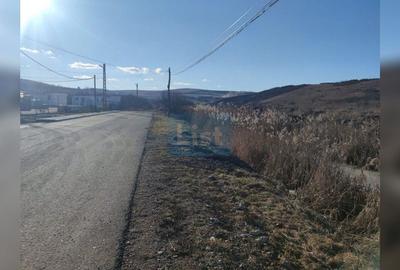 Teren Construcții intravilan de 5800 mp, în Aeroport - 3