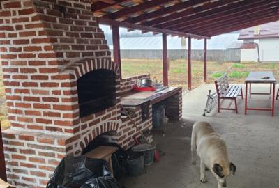 Casa de vanzare in Dobroteasa - 10