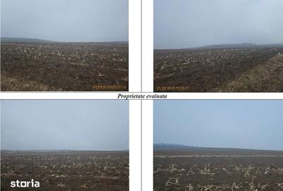 Teren de 2200 mp, în Călărași - 1