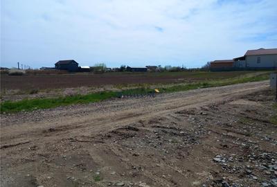 Teren Construcții intravilan de 731 mp, în Vetiș - 2