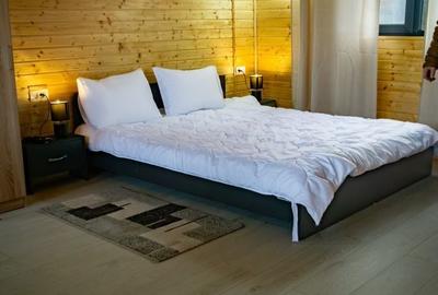 Casă cu 2 camere cu Teren 4300 Mp în Valea Brazilor - 7