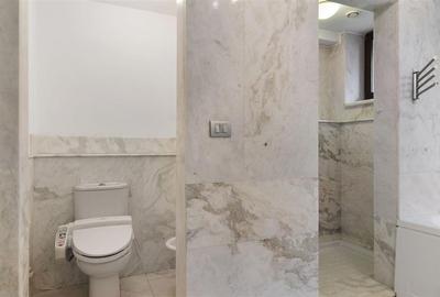 Vila Baneasa - Sisesti - Romatsa | 410 mpu | teren 652 mp | constructie 2007 - 12