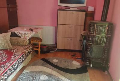 Casă cu 3 camere în Viișoara - 2