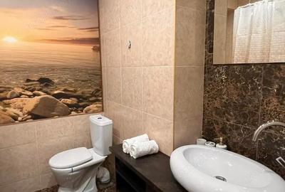 Garsonieră în Astra - 2