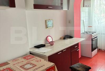 Apartament cu 2 camere semidecomandat în Paltin