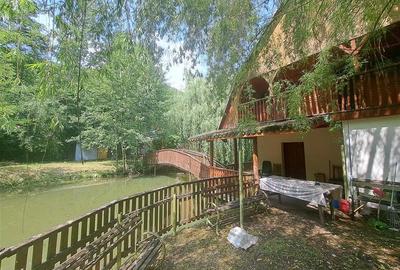 RECO, Cabana pe apa in Padurea Neagra, Bihor - 6