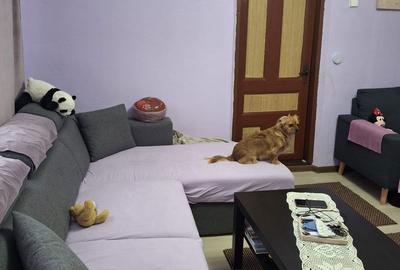 Casă cu 3 camere cu Teren 2155 Mp în Traian - 1