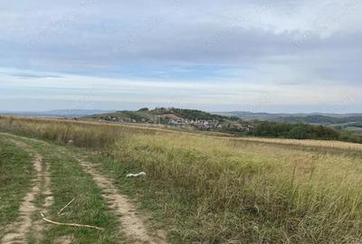 Teren extravilan de vanzare in Tileagd - 3166 mp cu panorama superba - 5