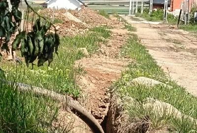 Teren de 550 mp, în Paleu - 5