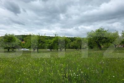 Teren intravilan, 34 ari intravilan, zona Unirea - 15