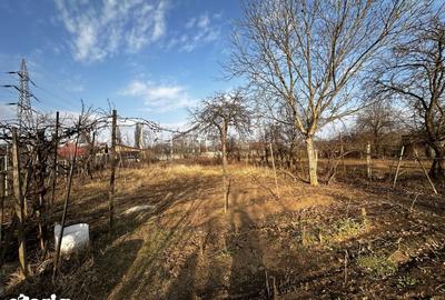 Casă cu 3 camere cu Teren 1242 Mp în Bărăbanț - 15