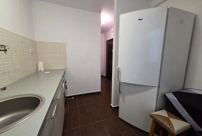 INCHIRIERE-APARTAMENT 1 CAMERA-METALURGIEI - 4