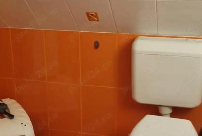 Iancului , Vatra Luminoasa - 12