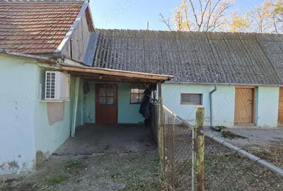 Casă cu 3 camere cu Teren 1094 Mp în Central - 3