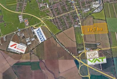 Teren agricol extravilan de 197000 mp, în Sud - 3