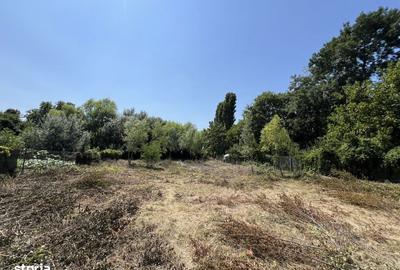 Teren de 2500 mp, în Gruiu