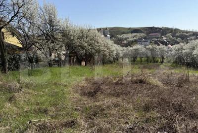 Teren în Crișeni - 2