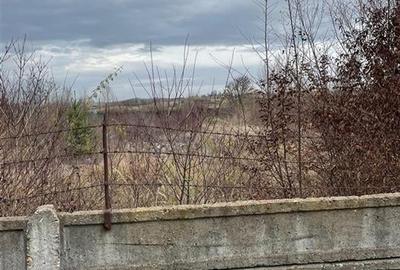 RECO vindem teren intravilan in Suncuius - 1