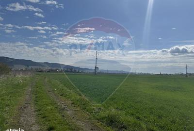 Teren de 8600 mp, în Iclod - 12