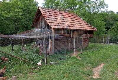 Vanzare casa  4 camere-microferma, cu panouri fotovoltaice - 28