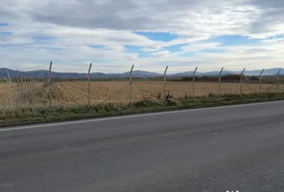 Teren de 14450 mp, în Central - 2