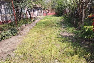 Casă cu Teren 1562 Mp în Osica de Sus