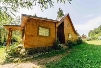Casa de vacanta (Borzont, jud. Harghita) - 2
