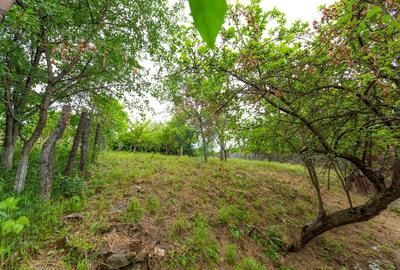 Proprietate compusa din doua case - zona linistita  155.000 euro - 25
