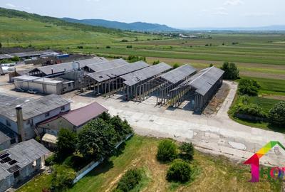 Teren 100.000 mp + Spatii Industriale Bacau - 2