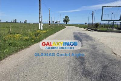 Vindem 12 ha teren intravilan curti-constructii in Teiu - Ar - 2