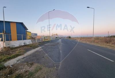 Teren 10,000mp Mangalia-Limanu / Drumul 391 - 2