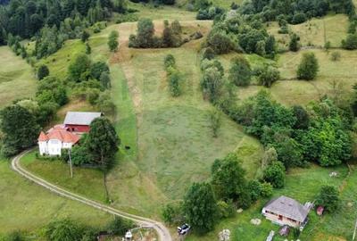 Teren de 6865 mp, în Voroneț - 13