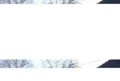 Casă cu 3 camere în Criș - 2