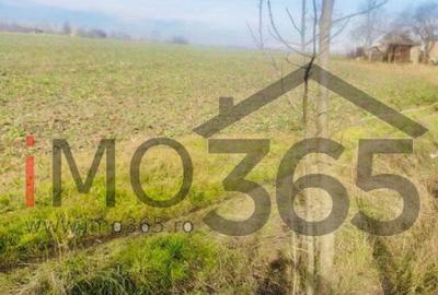 Casa demolabila si teren 3758mp intravilan Rociu Gliganu - 3