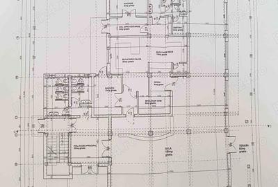 Casă cu 6 camere cu Teren 1680 Mp în Miroslovești - 2