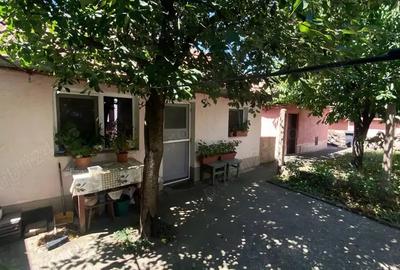 Vand casa cu gradina - 3
