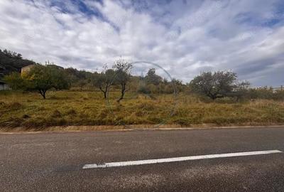 Teren de 5600 mp, în Centura - 4