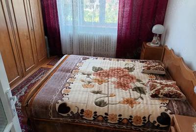 Casa individuala de vanzare Alba Iulia - 2