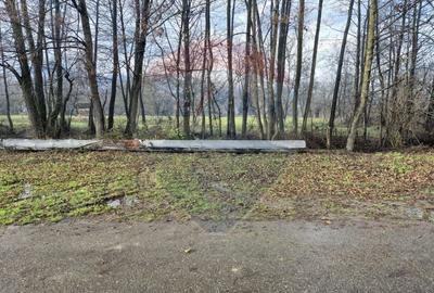 Casă individuală cu 6 camere cu Teren 2168 Mp în Săpânța - 16