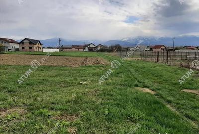 Teren de 1400 mp, în Avrig - 6