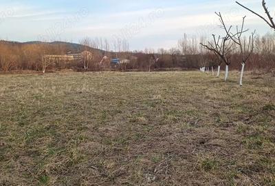 Teren de 4600 mp, în Central