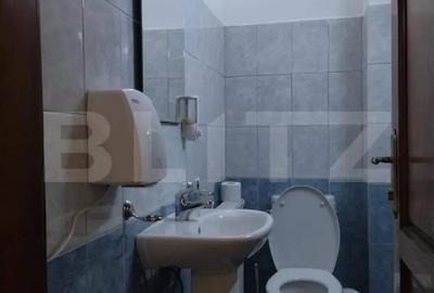 Casă cu 3 camere cu Teren 3500 Mp în Central - 8