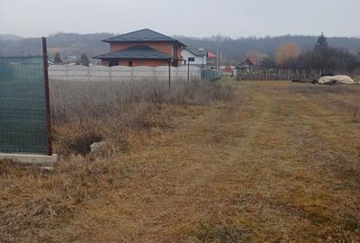 Spațiu comercial, în Central - 2