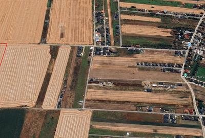 Teren agricol intravilan de 12500 mp, în Dragomirești-Vale - 2