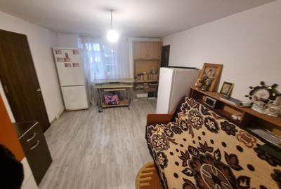 Delfinariu -casa de caramida - 9